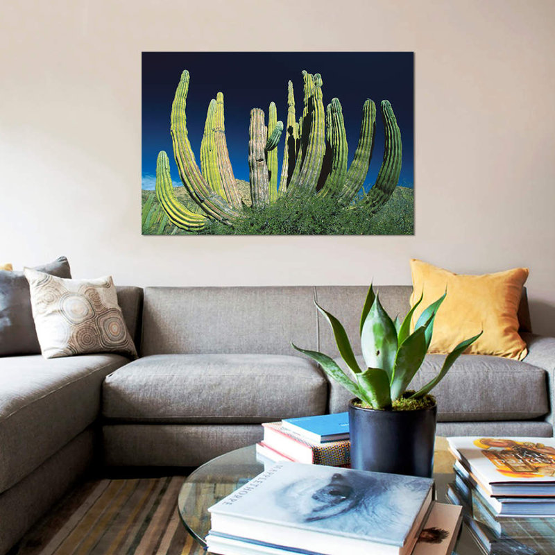 Cardon Tables | All About Image HD